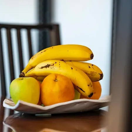 Stemann Guía de Isora