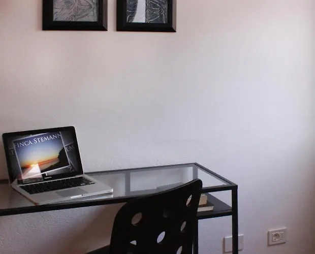 Stemann Guía de Isora