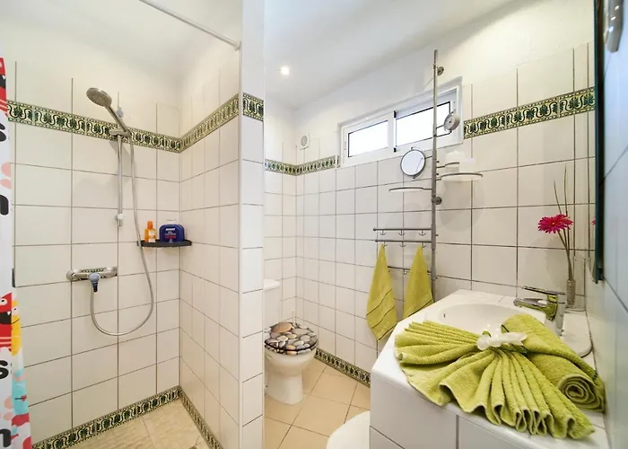 Stemann * Guía de Isora